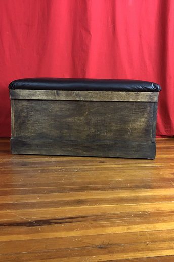 Trunk with padded top and anchor points for restraints